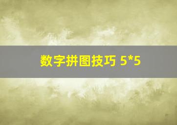 数字拼图技巧 5*5